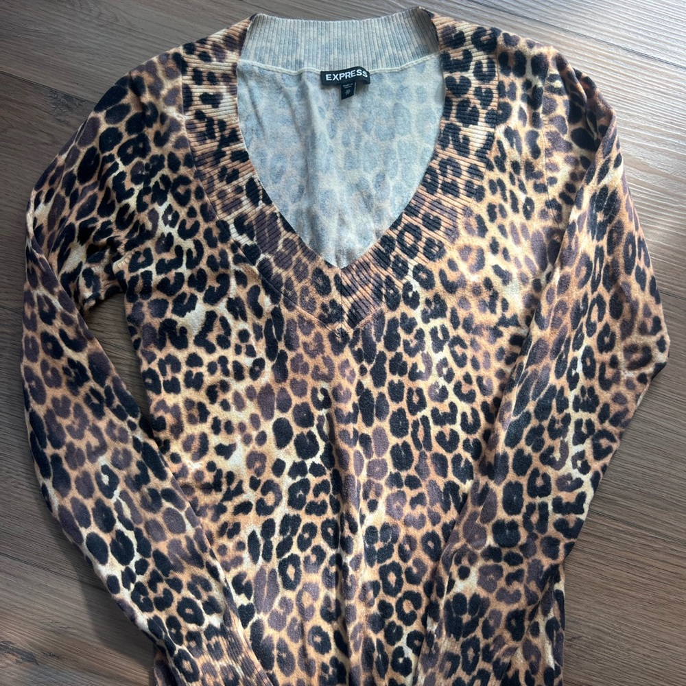 Express Animal Print V-Neck Sweater